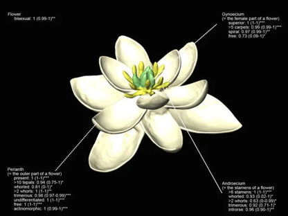The Original Flower Ring